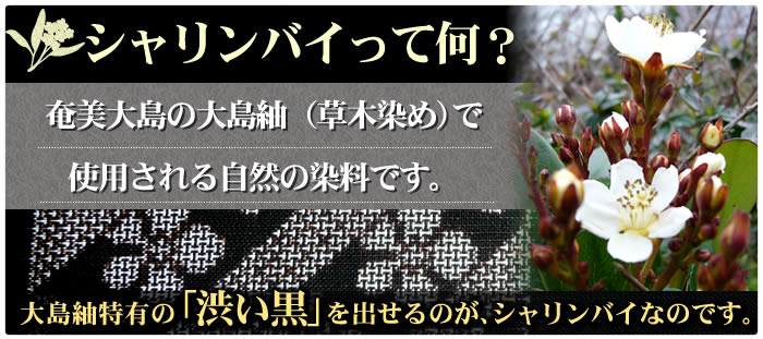 黒耀シャンプーＱＳ＆ヘアパックＱＳ／シャリンバイは大島紬で使用される自然の染料です